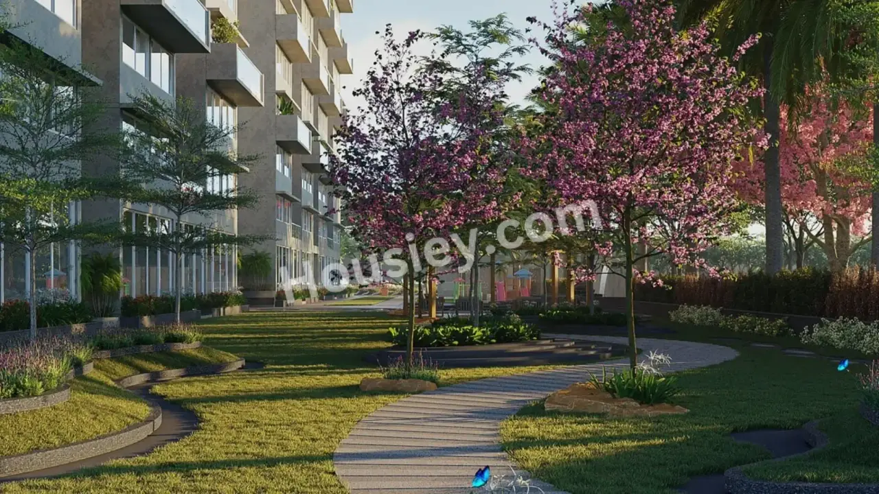 Project image 11
