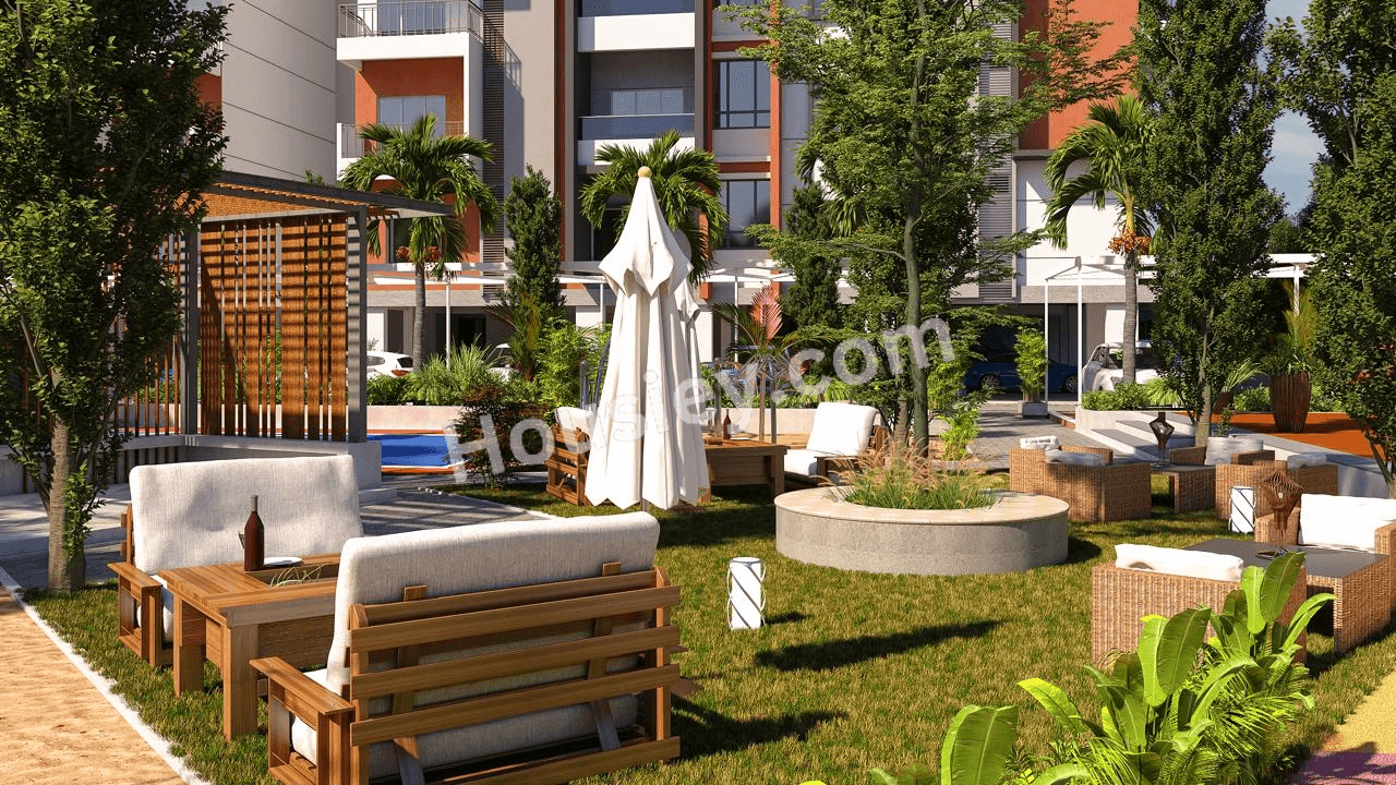 Project image 6