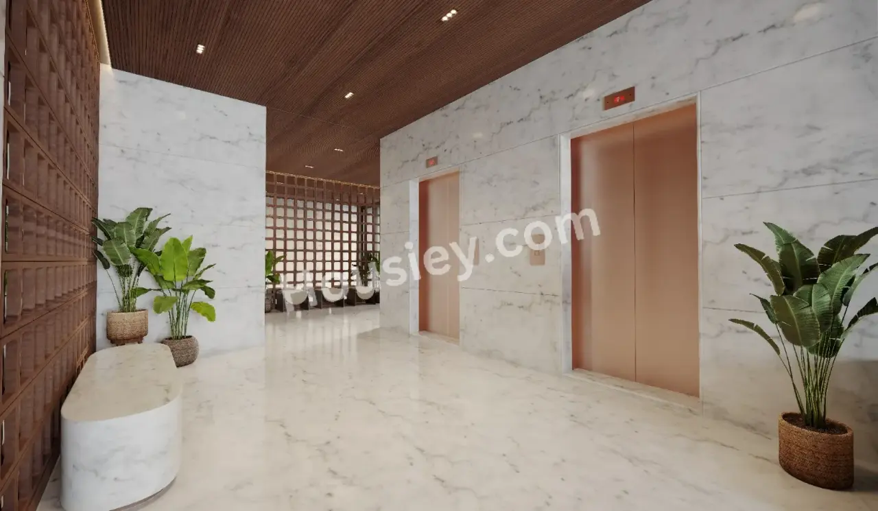 Project image 11