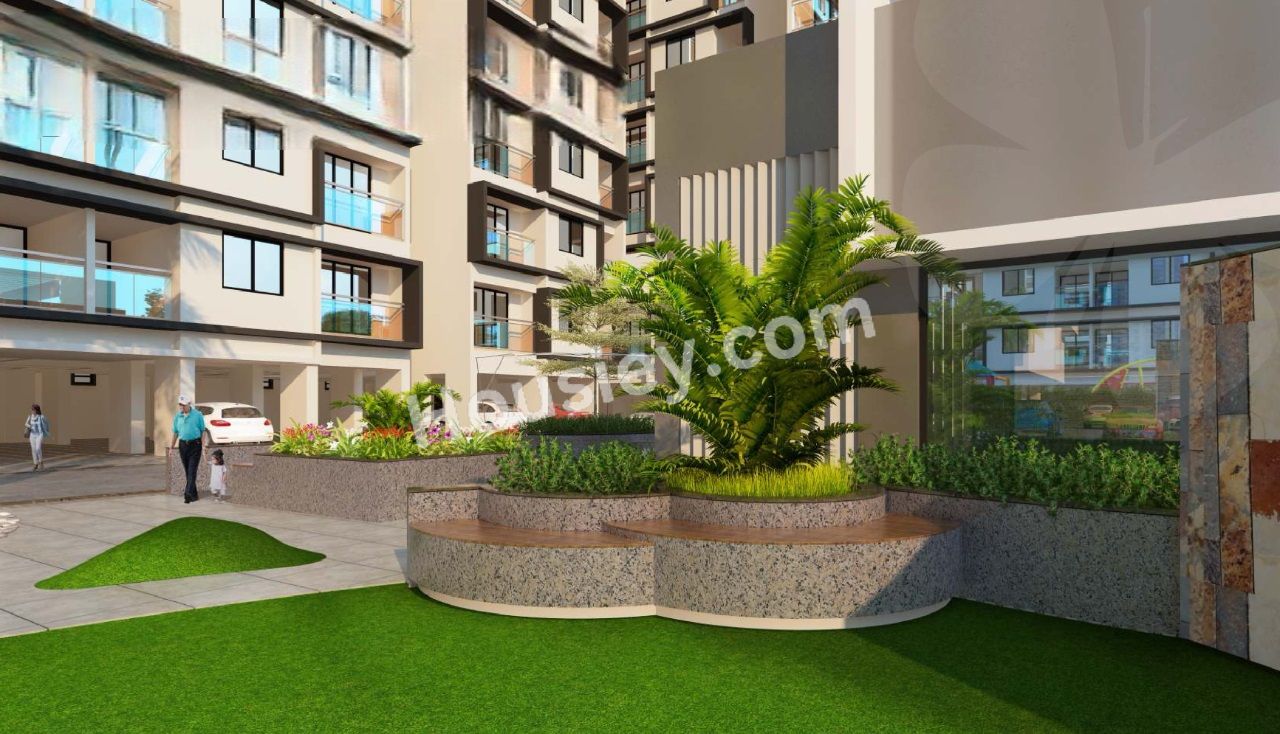 Project image 13