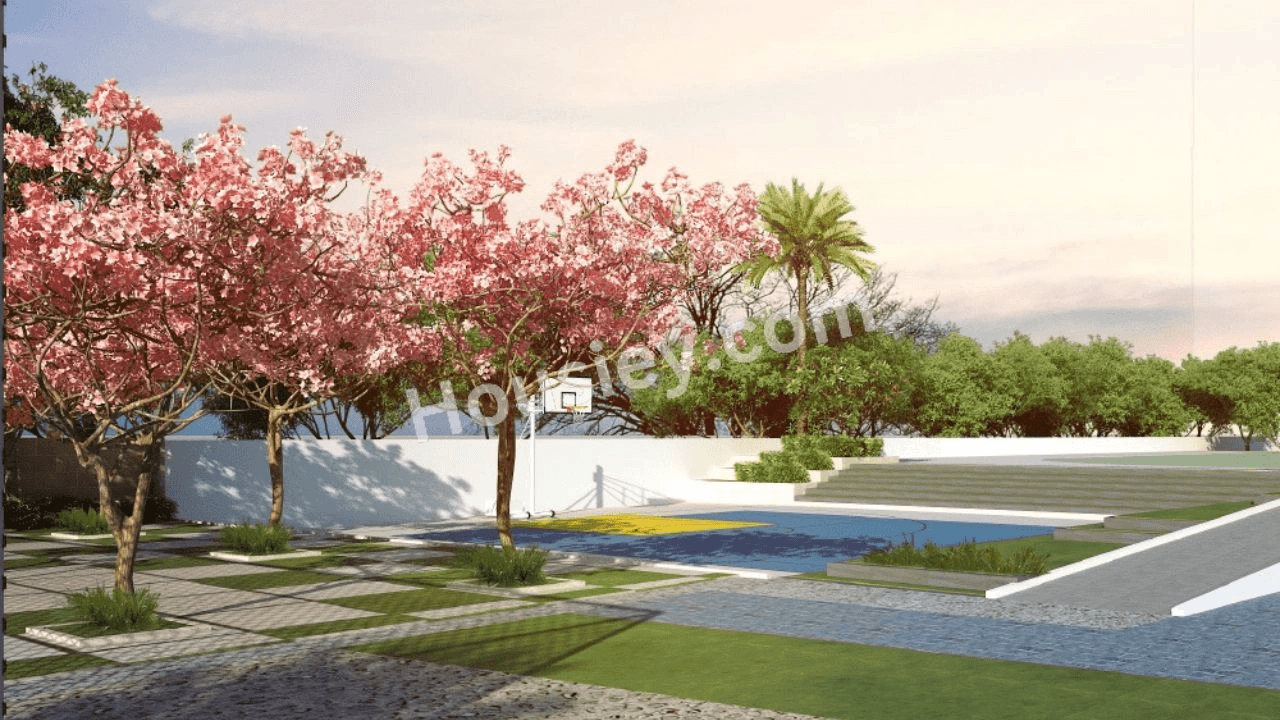 Project image 5