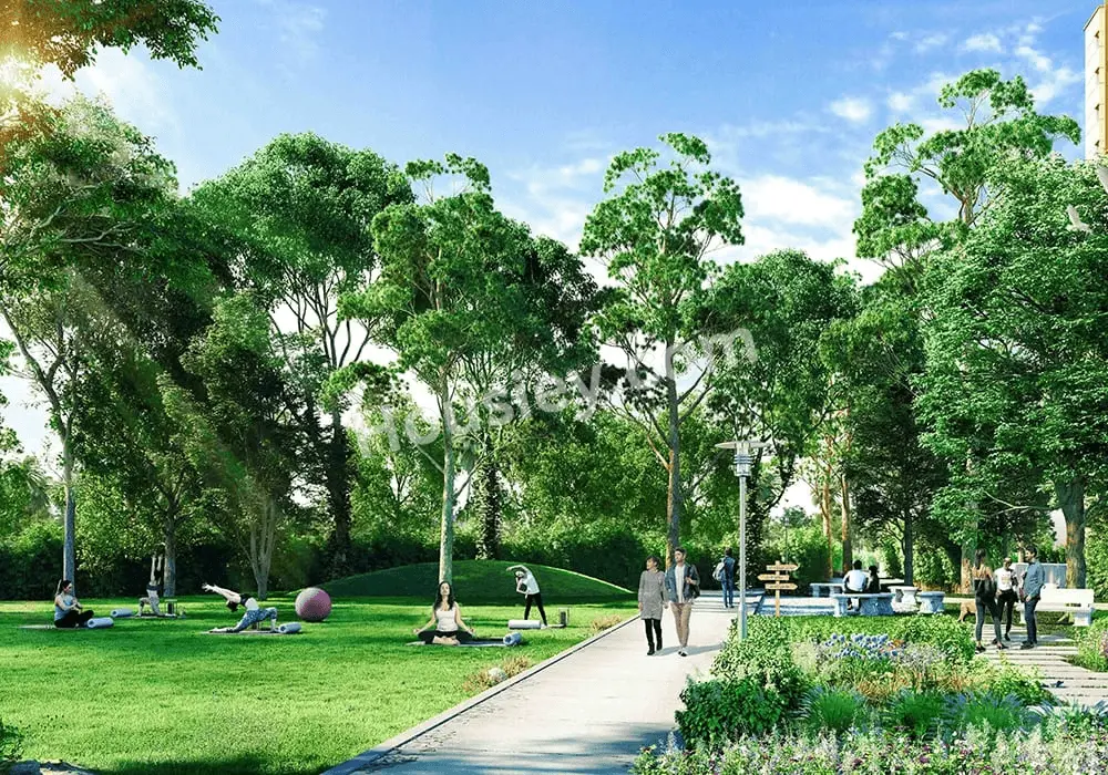 Project image 6