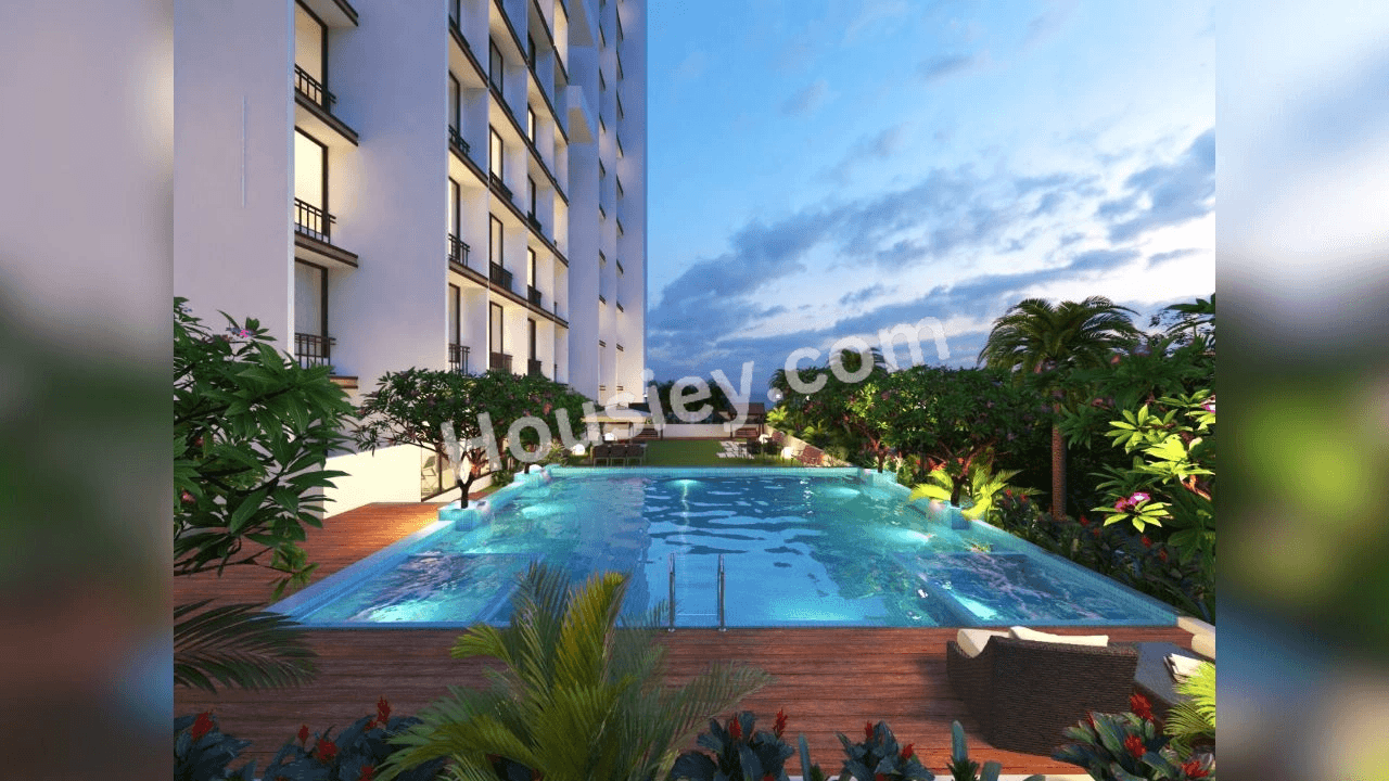 Project image 8