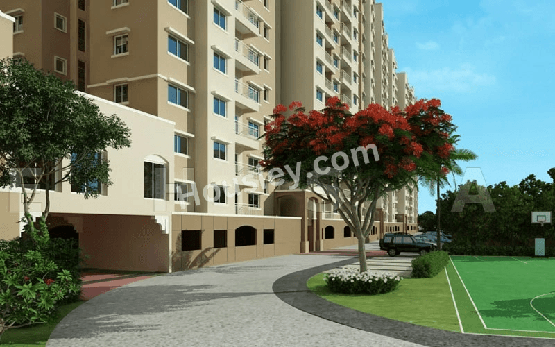 Project image 7