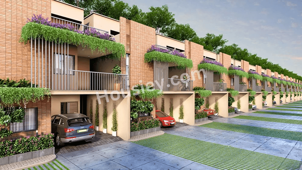 Project image 6