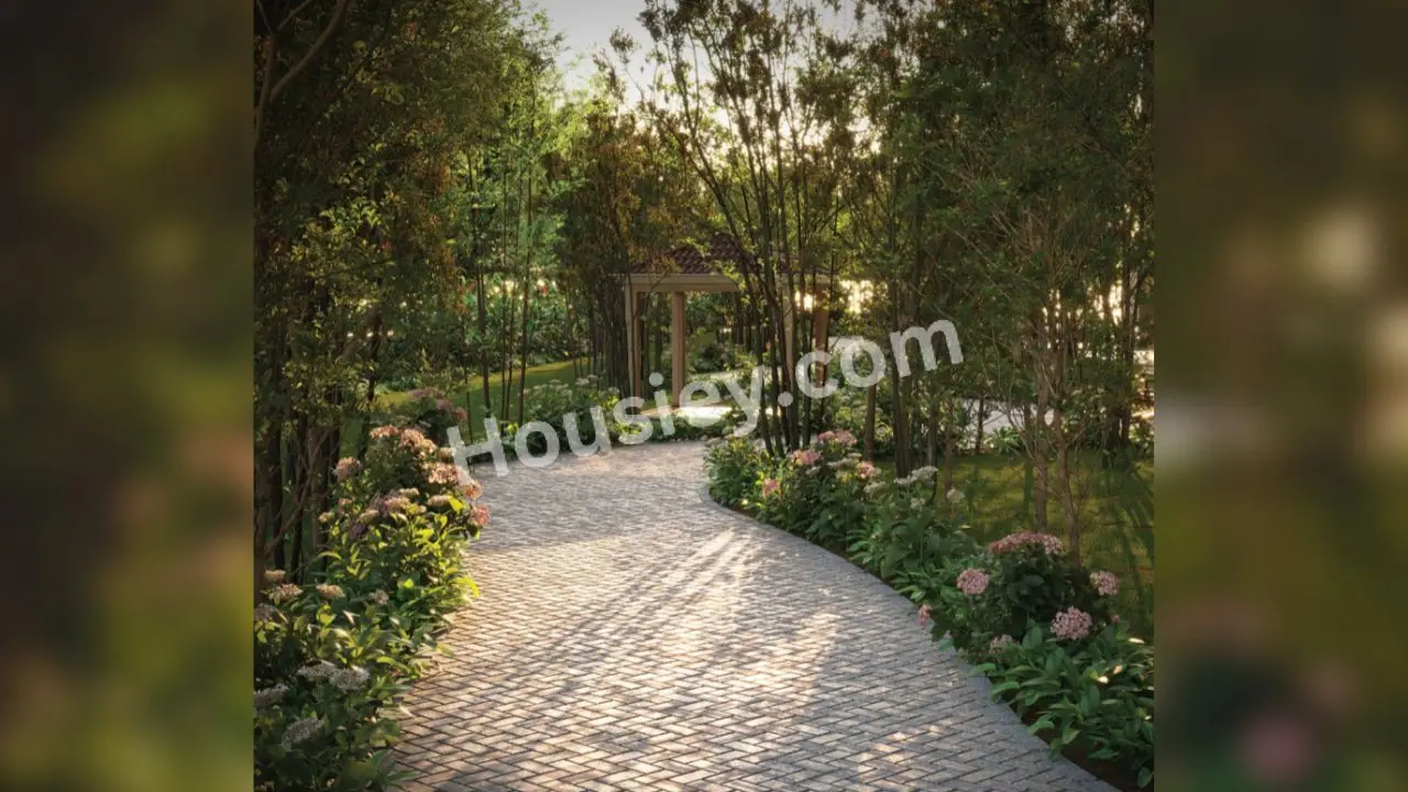 Project image 15
