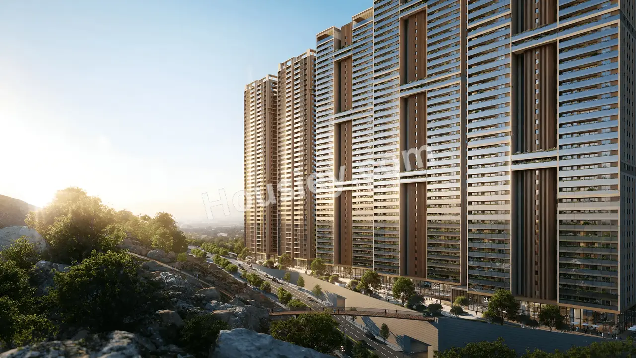 Project image 19