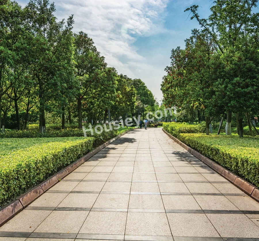 Project image 10