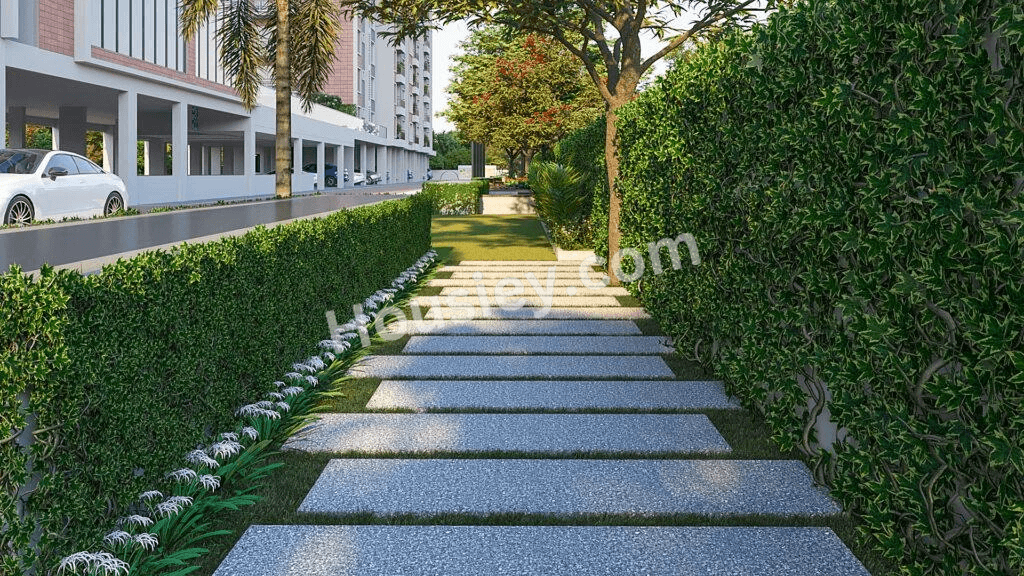 Project image 9