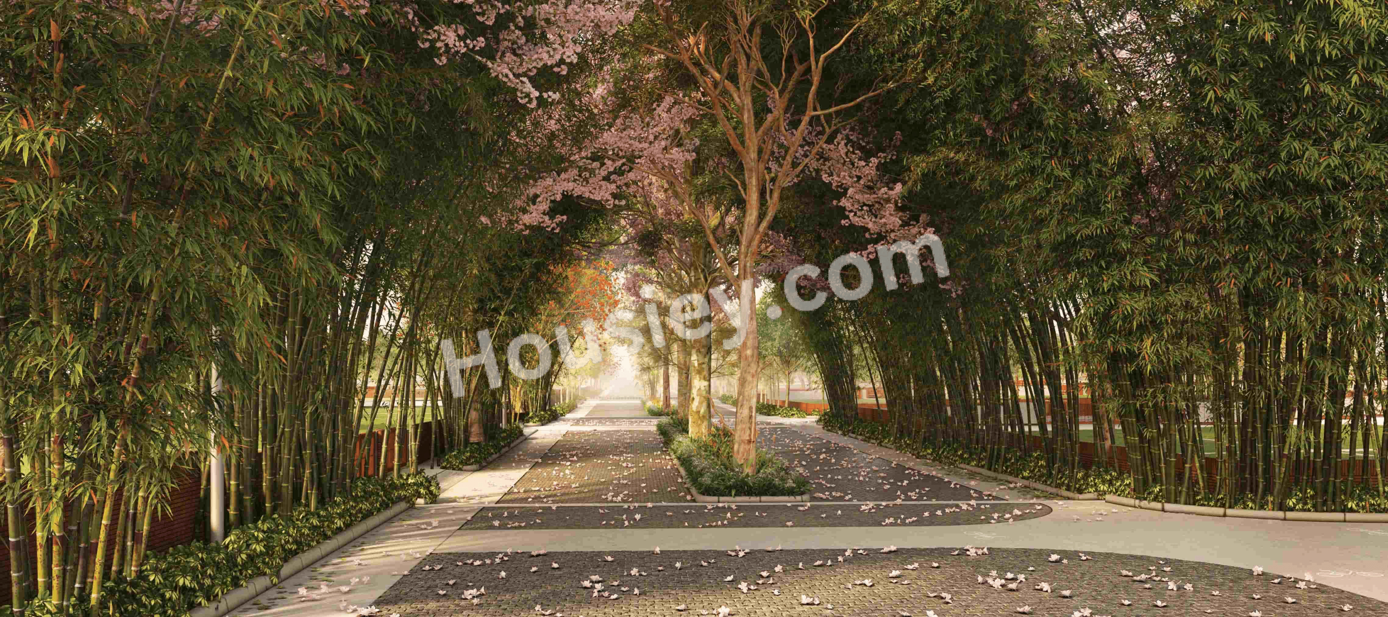 Project image 2