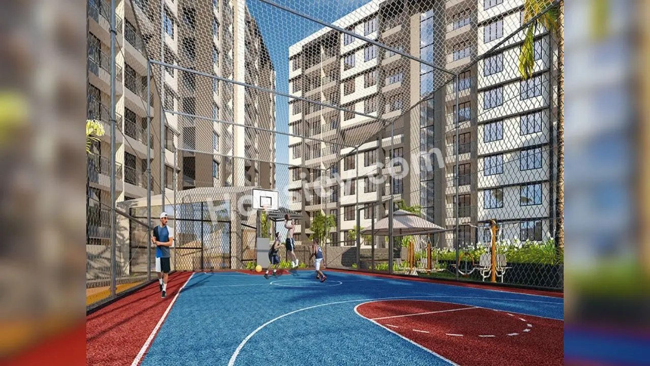 Project image 6