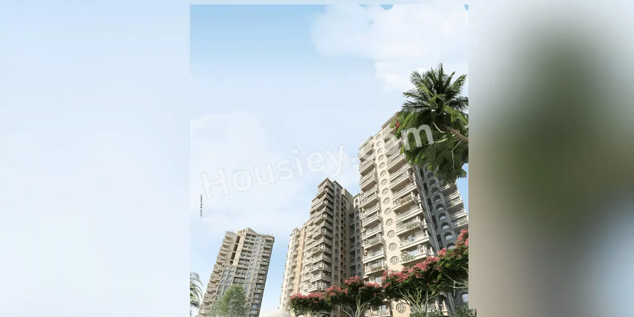 Project image 11