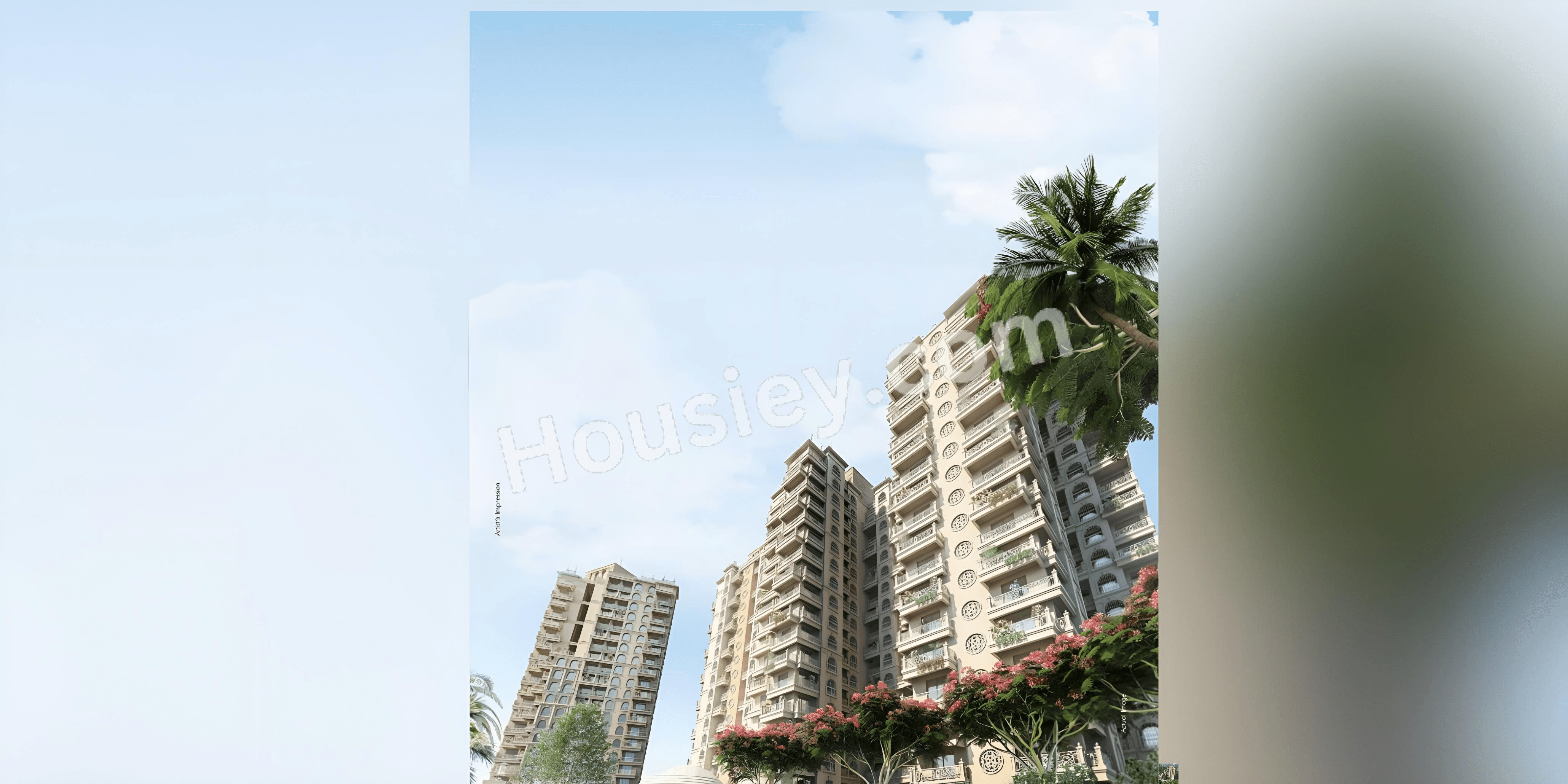 Project image 11