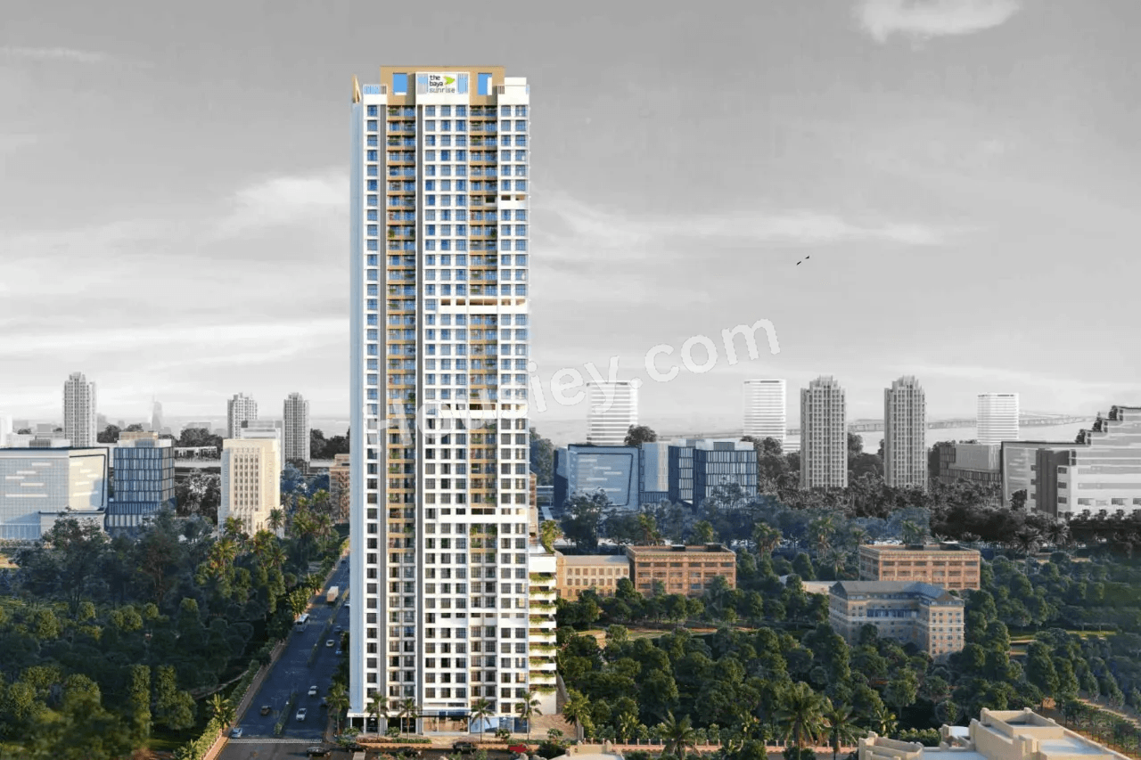 Project image 3
