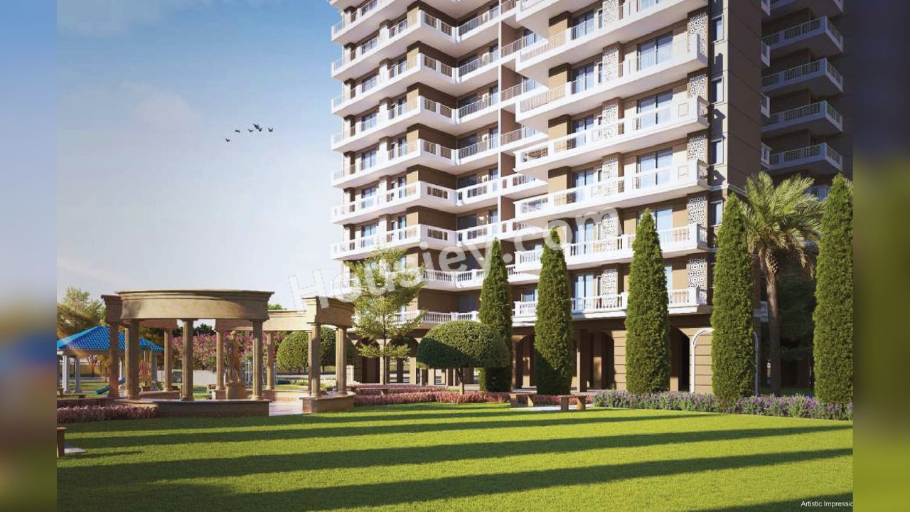 Project image 14