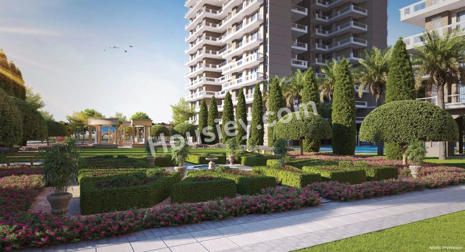 Project image 19