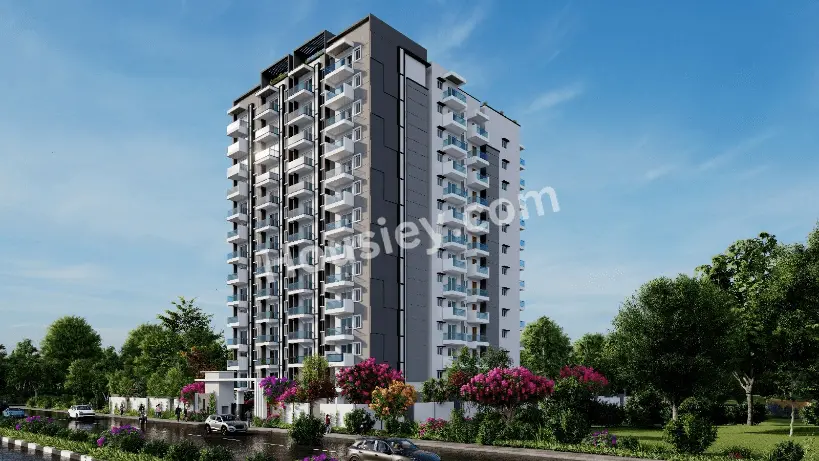 Triaxis Splendour Plus