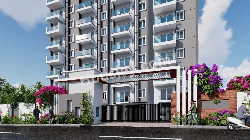Project image 6