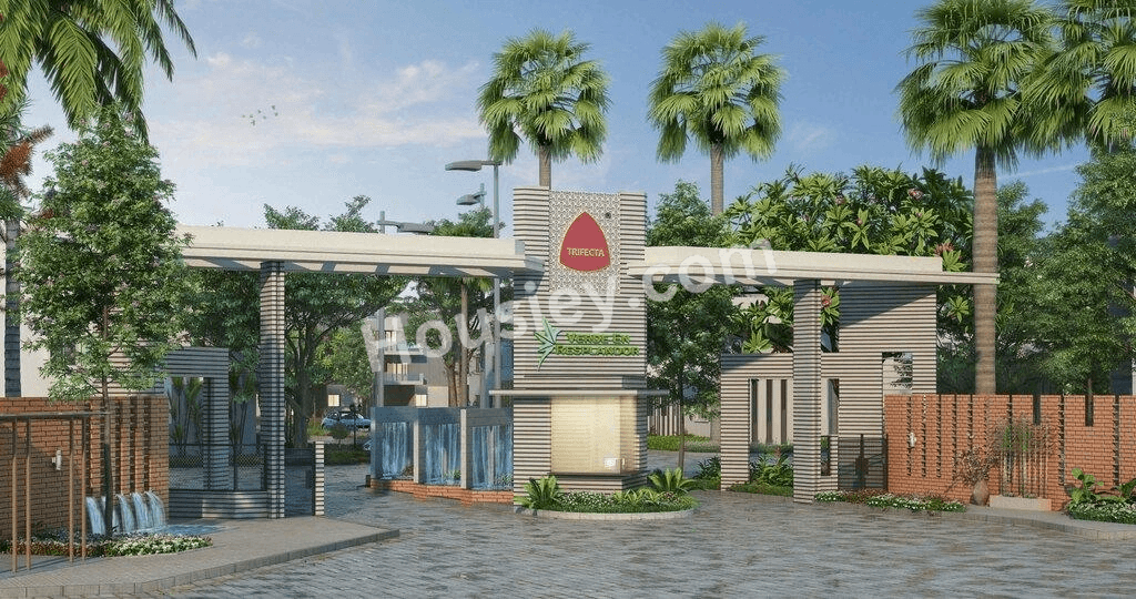Project image 5