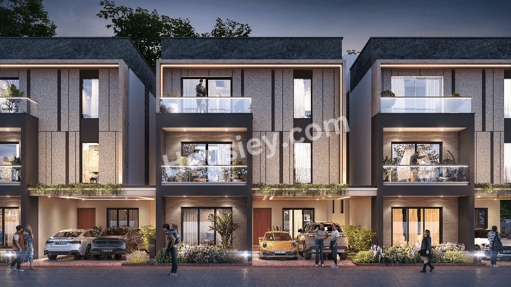 Project image 8