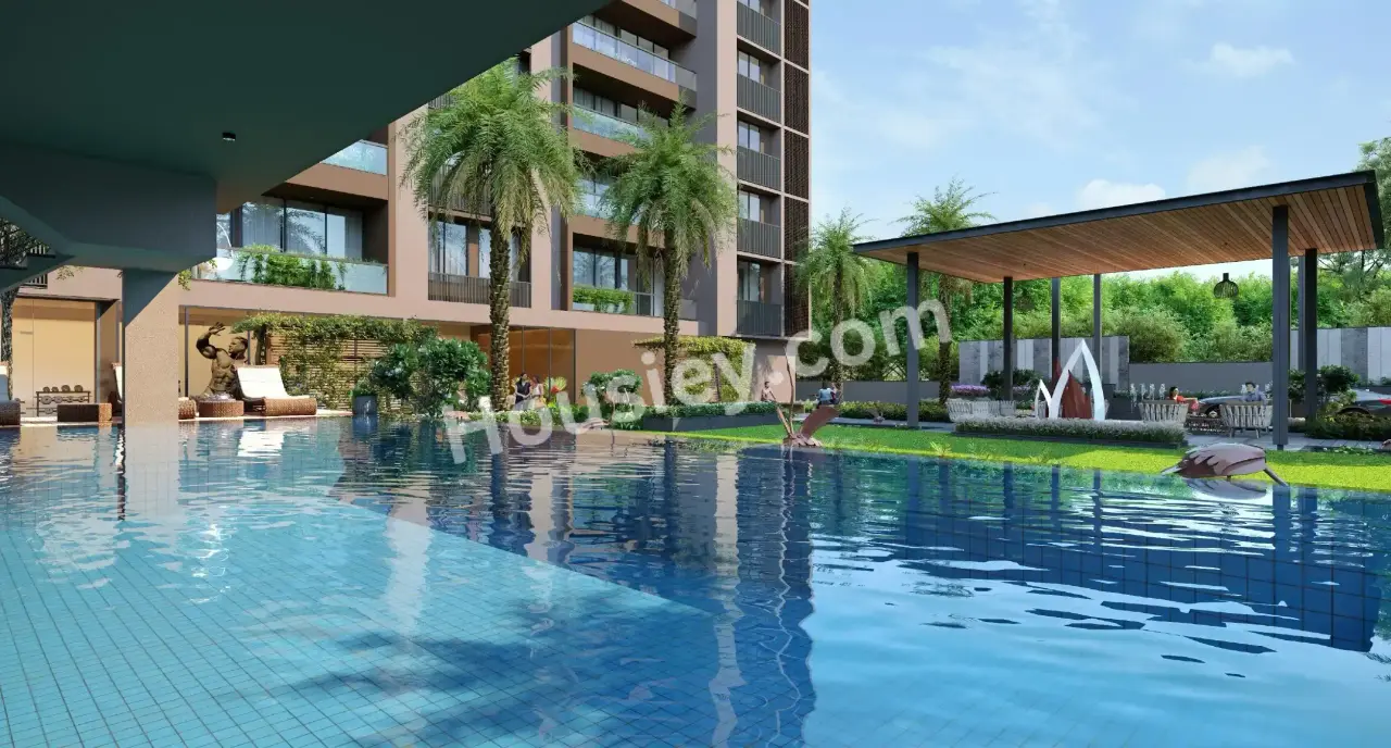 Project image 9