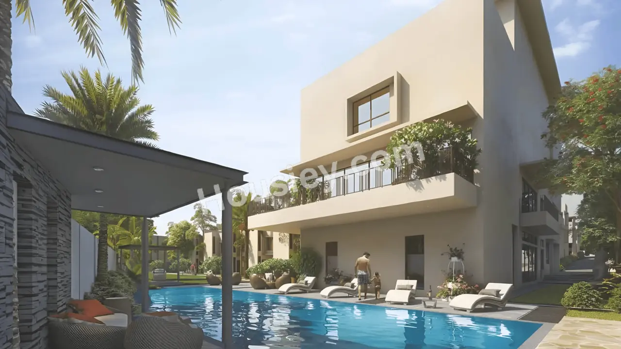 Project image 11