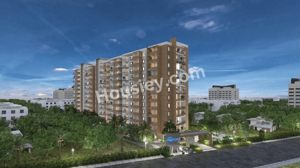 Project image 12