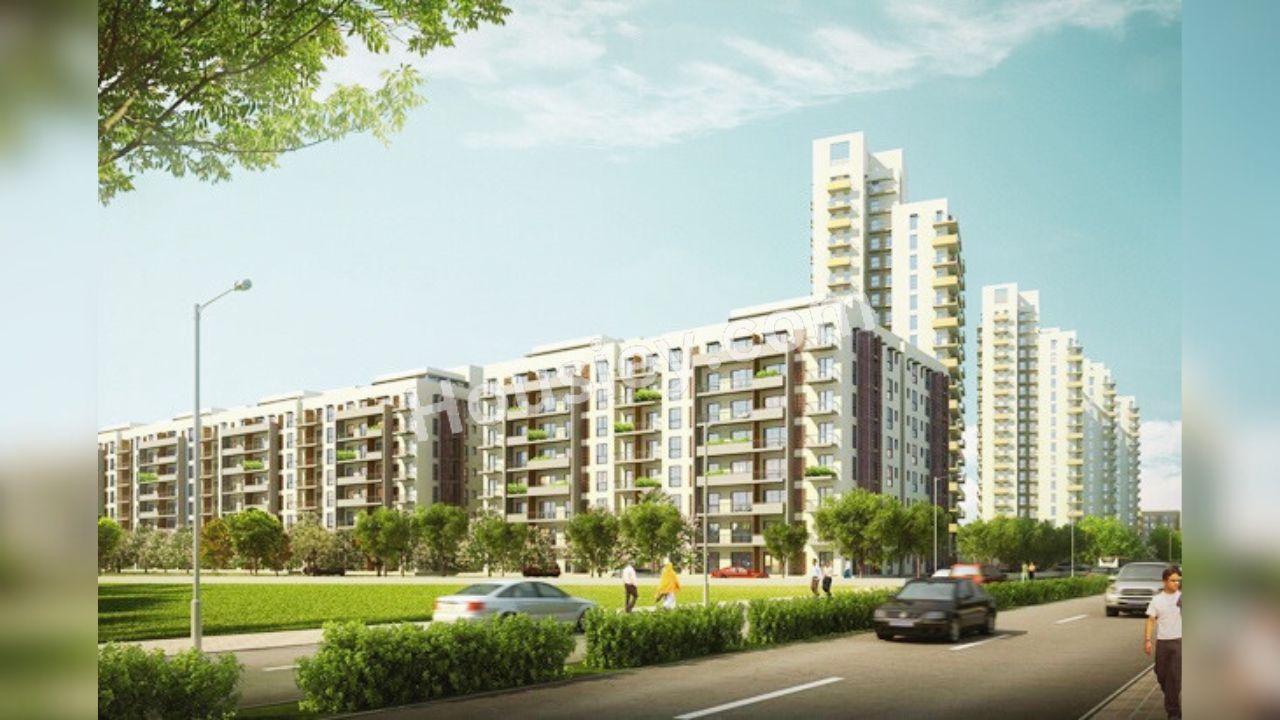 Project image 12