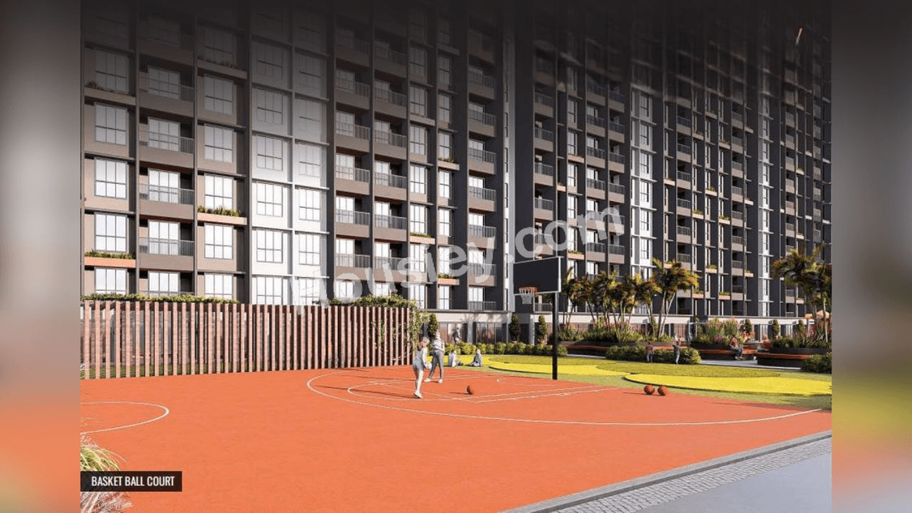 Project image 6